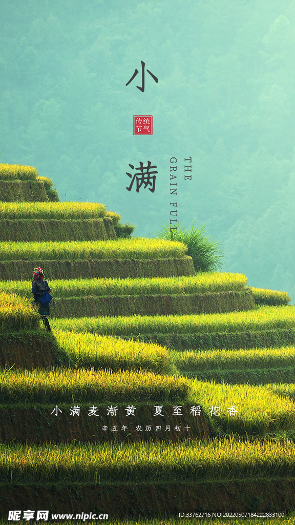 小满节气海报