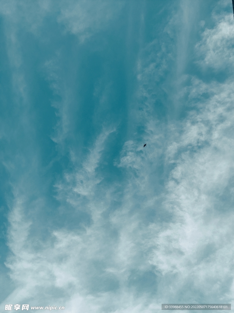 海水