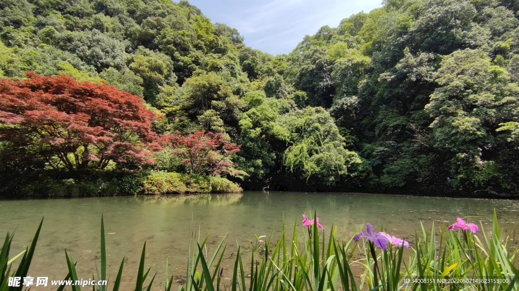 自然风景