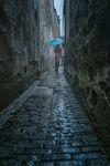 雨巷