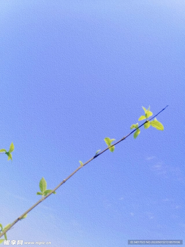 四月蓝天