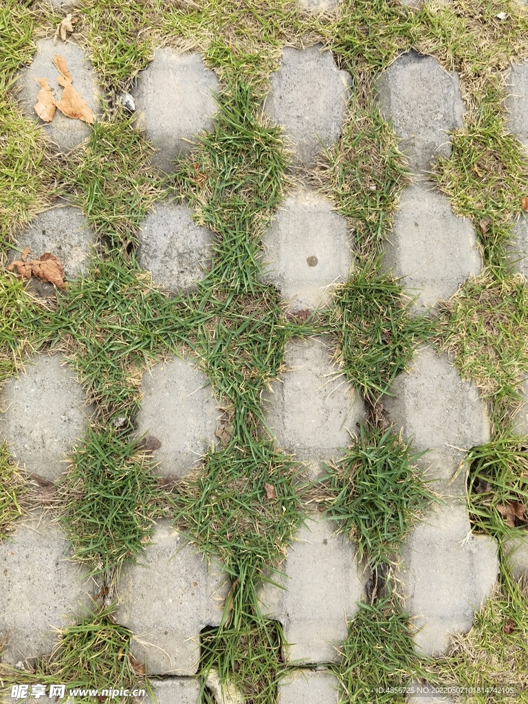 草地