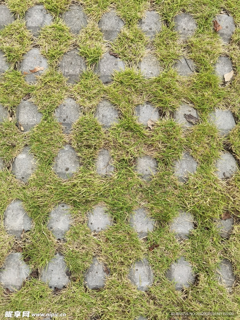 草地