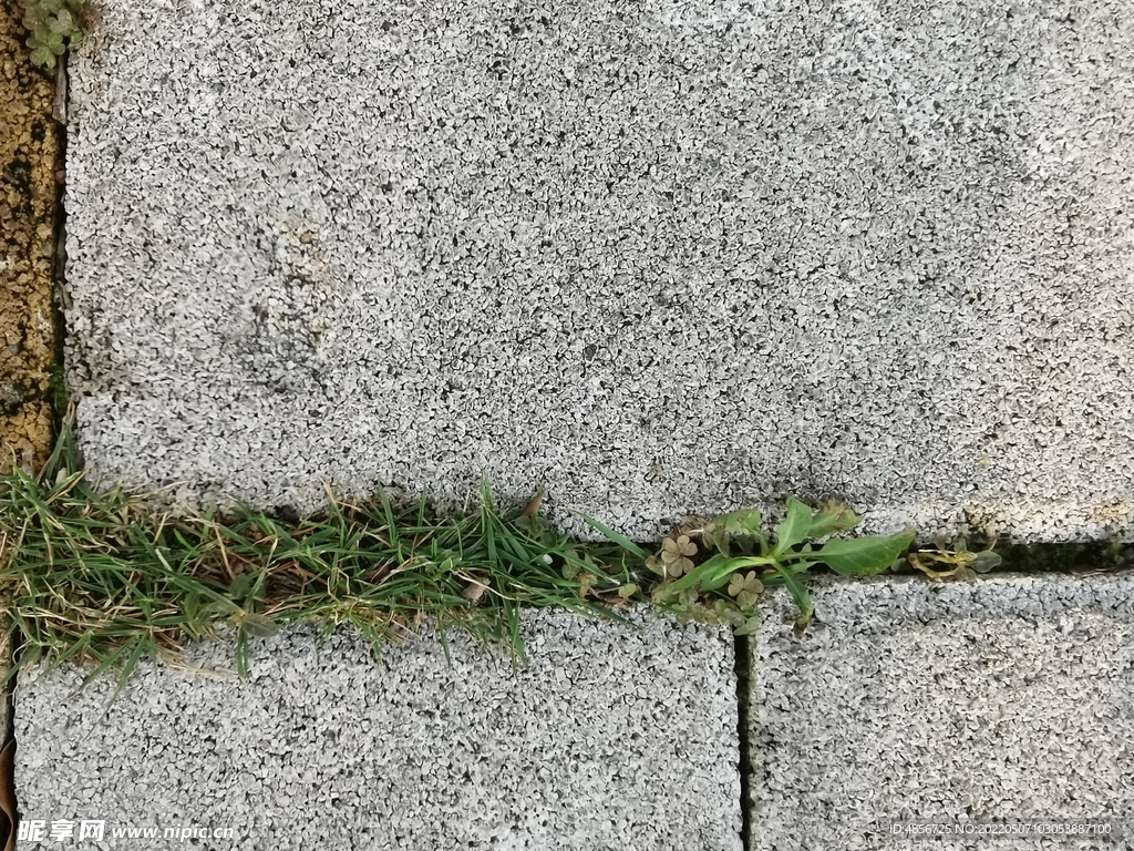 草