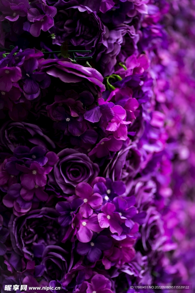 花卉