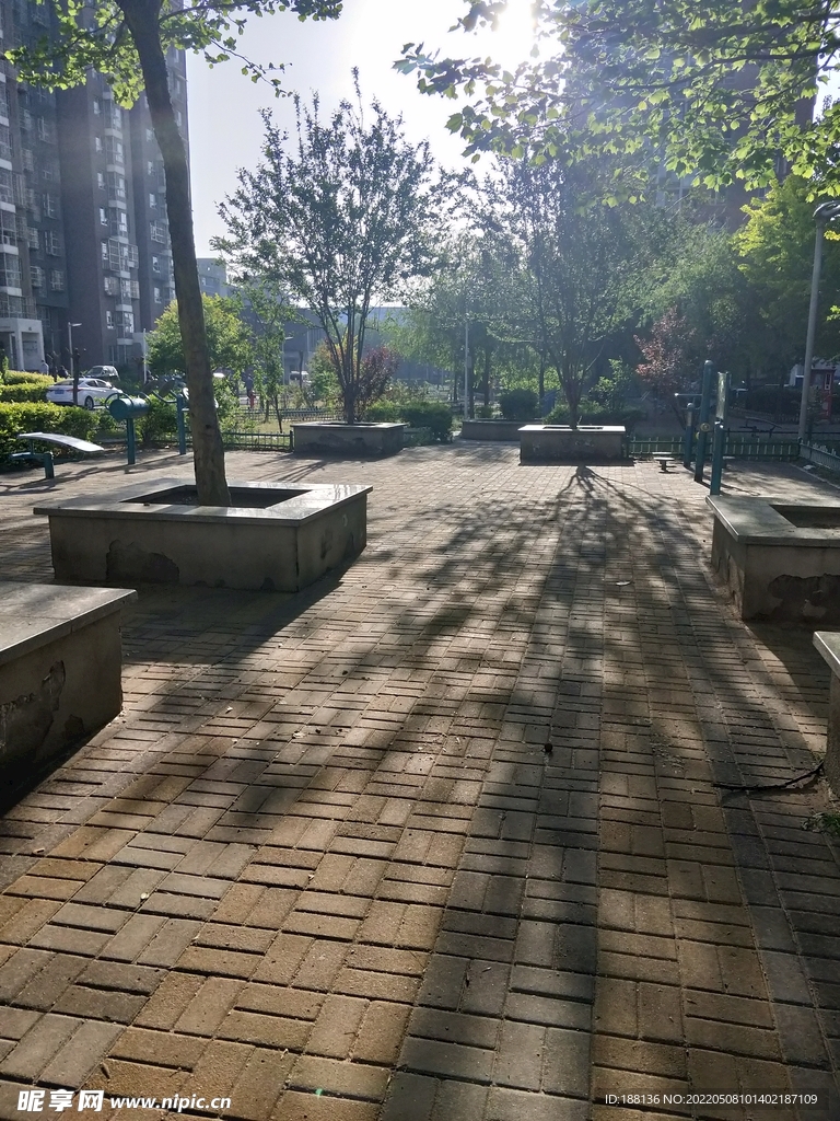 小区园林绿化 阳光