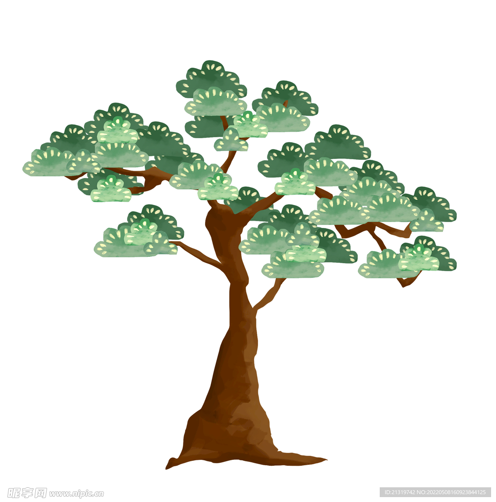 松树插画