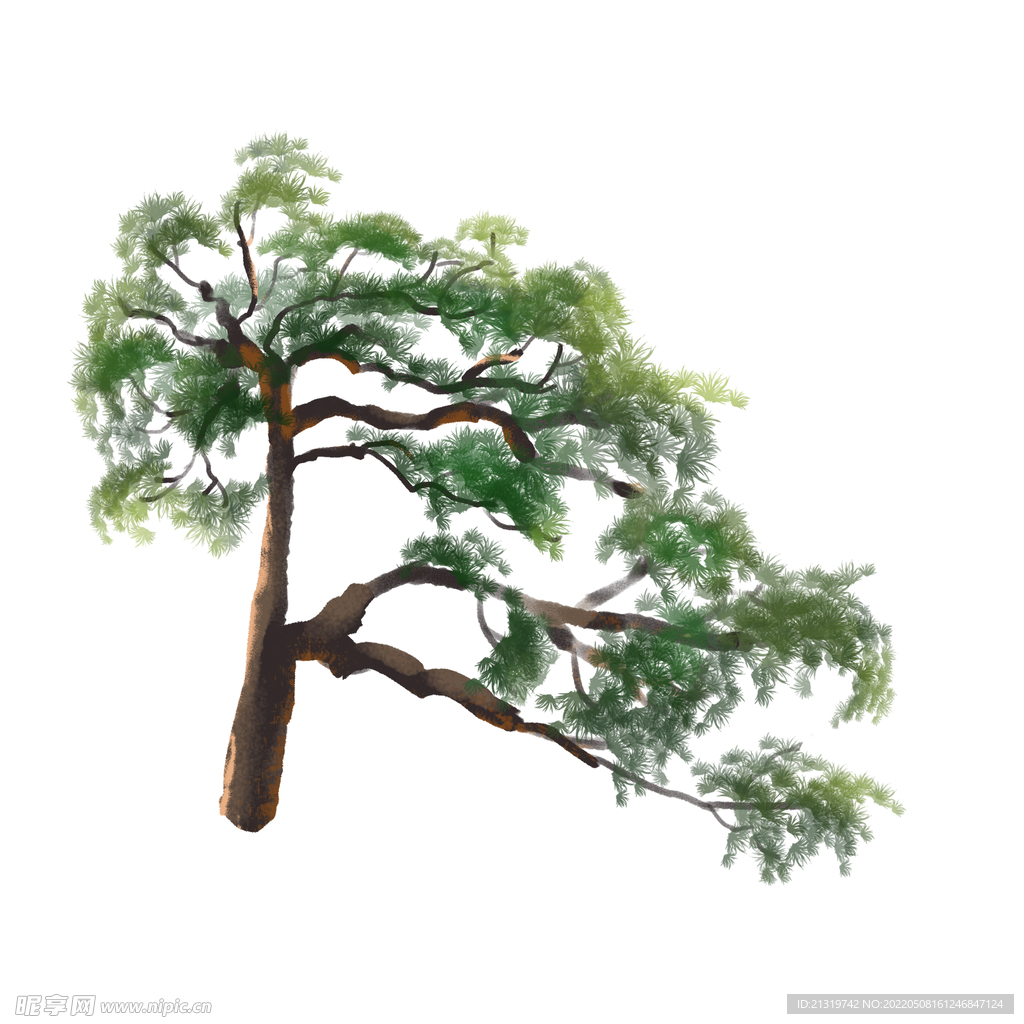 手绘松树