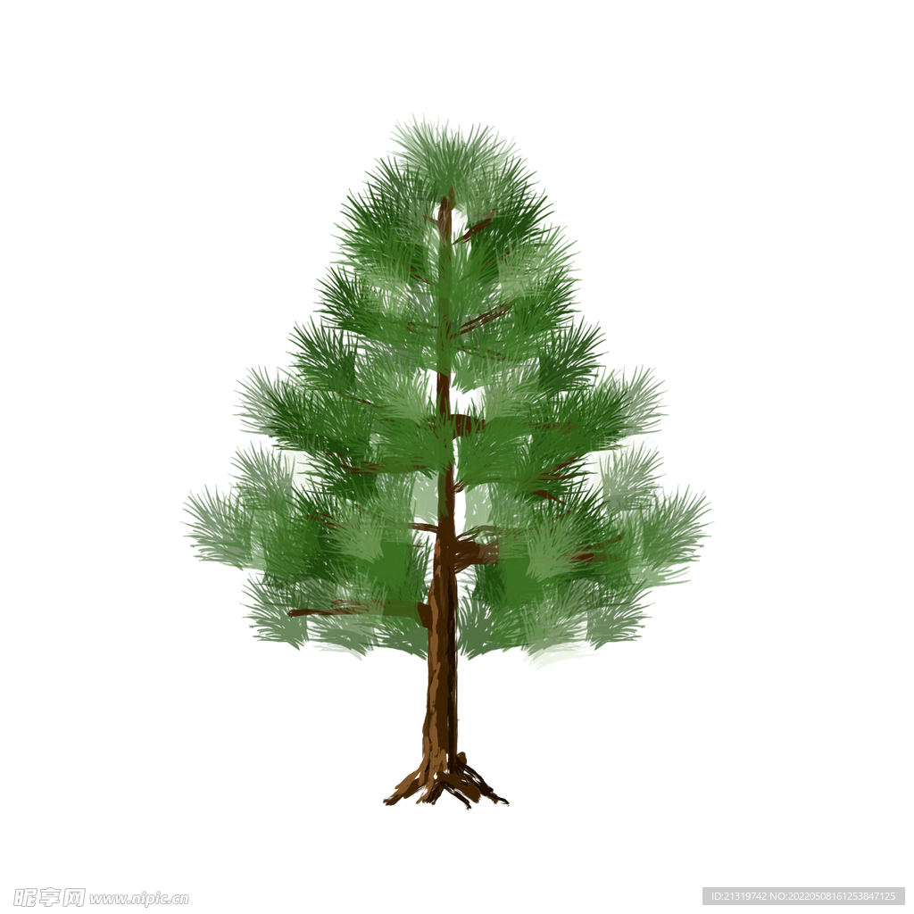 松树插画