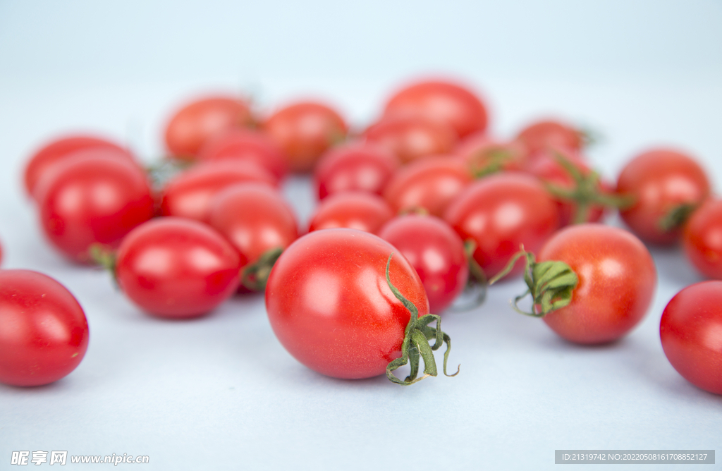 小番茄摄影素材