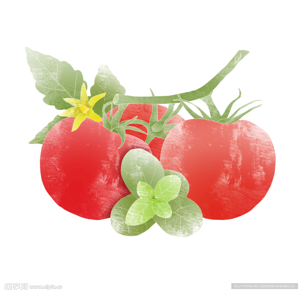 卡通手绘西红柿