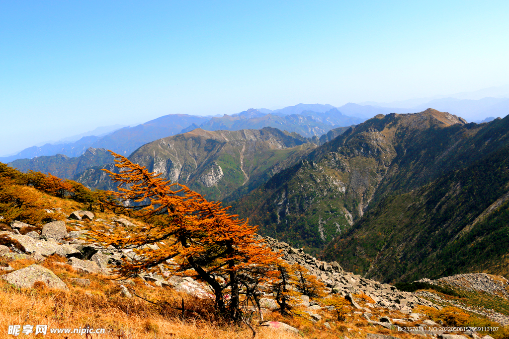 高山秋景