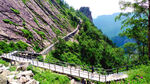 山间步道