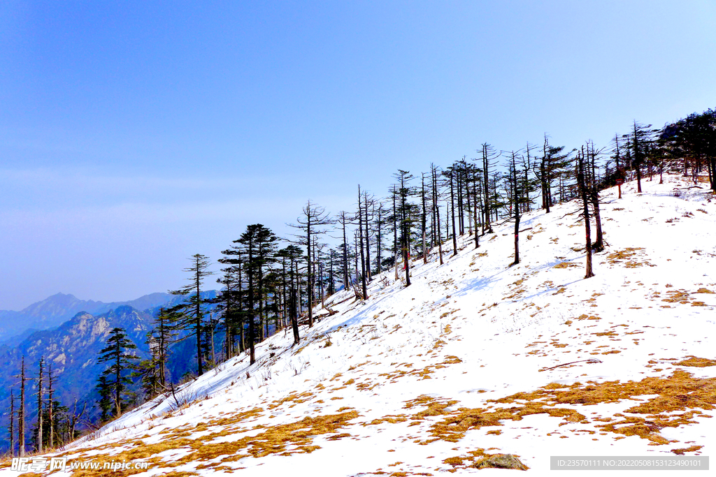 秦岭雪景