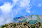 朱雀公园山顶看风景