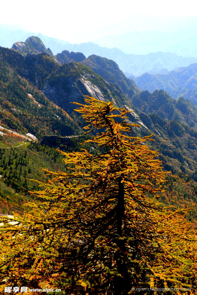 朱雀高山秋景