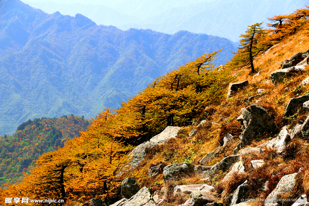 秦岭秋景   