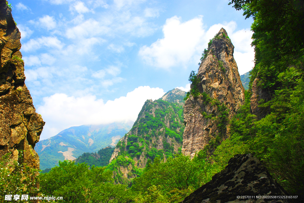 秦岭高山