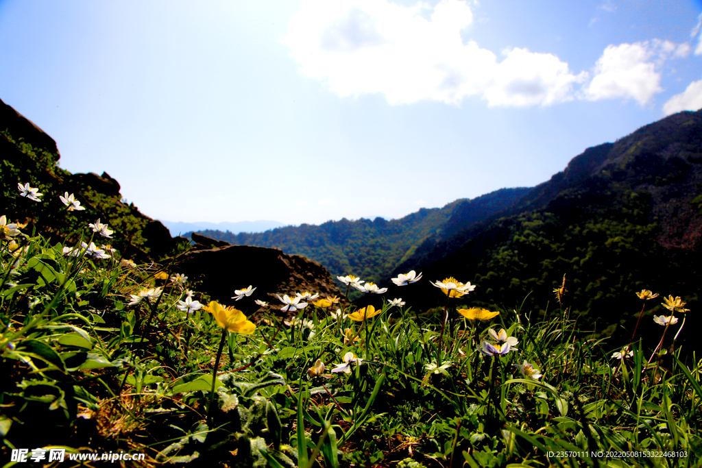 秦岭美景