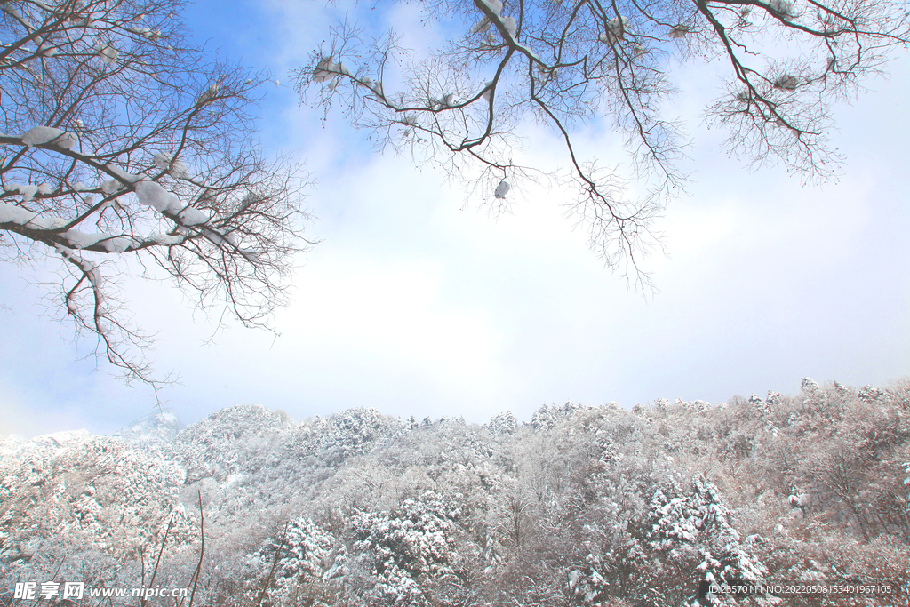 雪景  云雾  冬雪