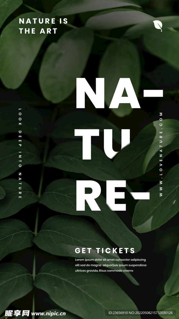 自然墨绿森系植物叶子海报 