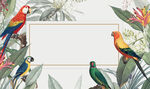 金刚鹦鹉植物花草手绘海报 