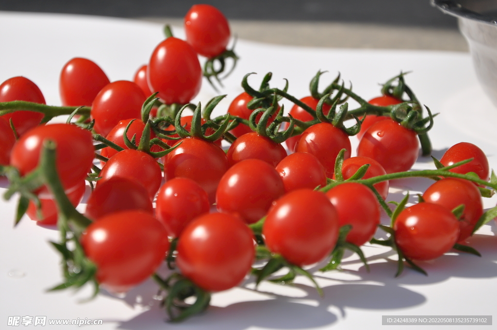 小番茄背景高清摄影素材
