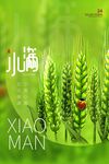 小满 