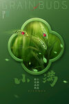 小满节气