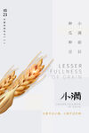 小满节气