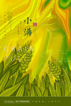 小满节气