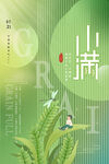 小满节气