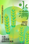 小满节气