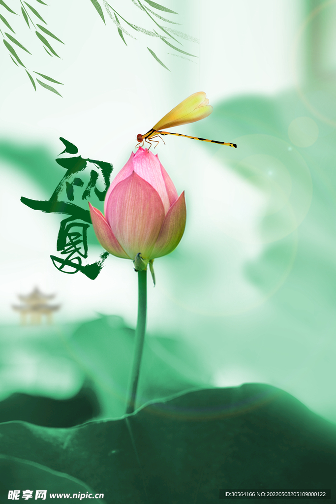 立夏