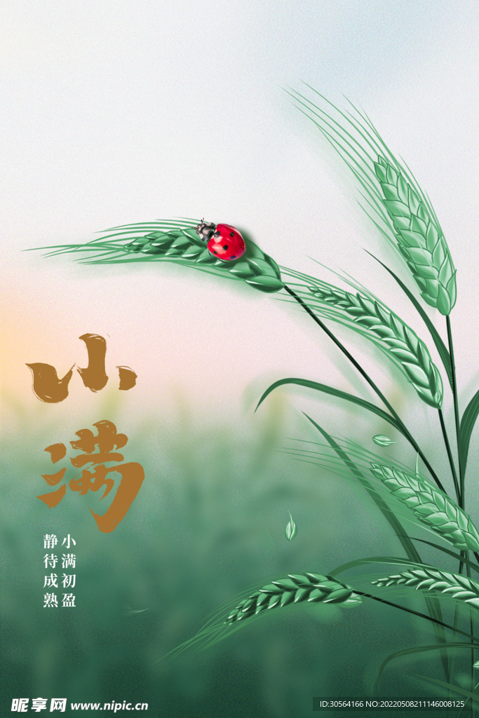 小满