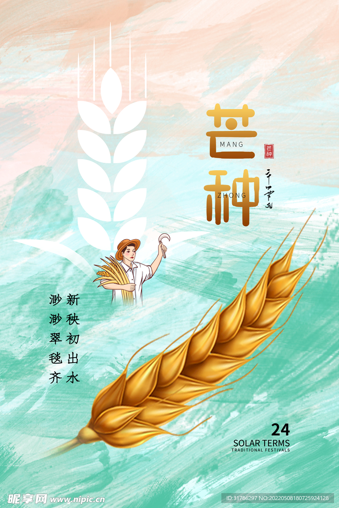 芒种