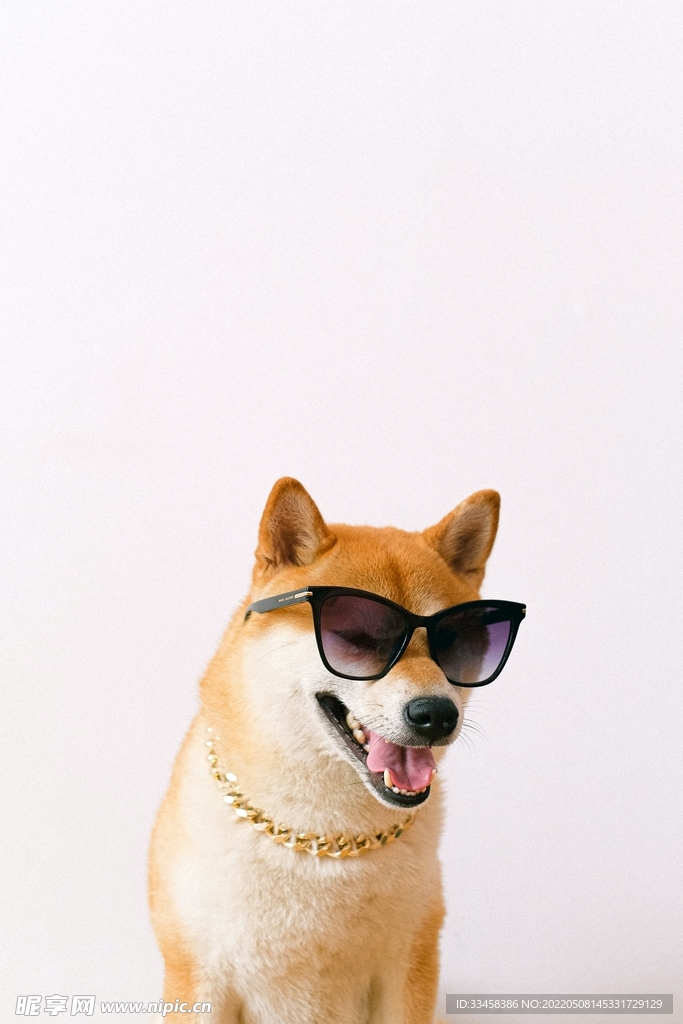 狗