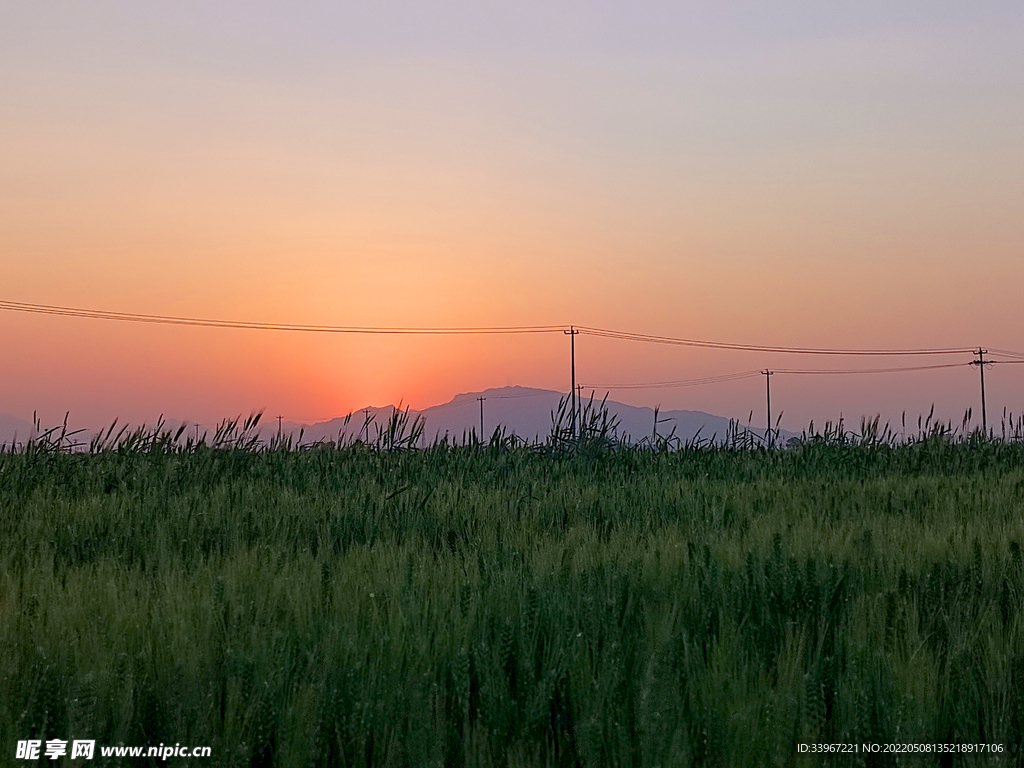 小麦麦田夕阳西下落日