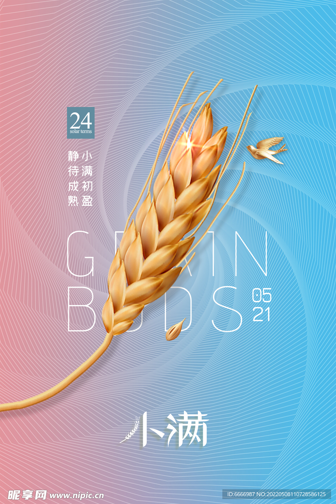 小满