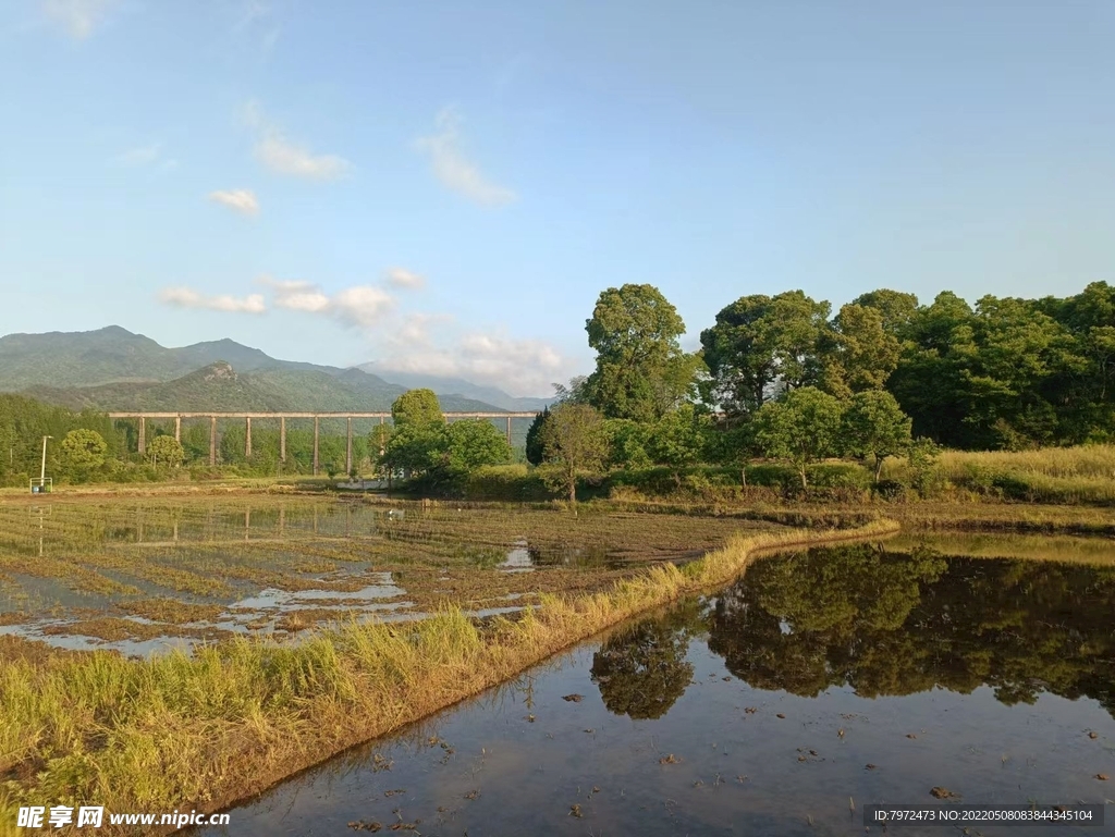 田野