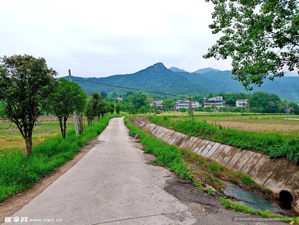 田园风光