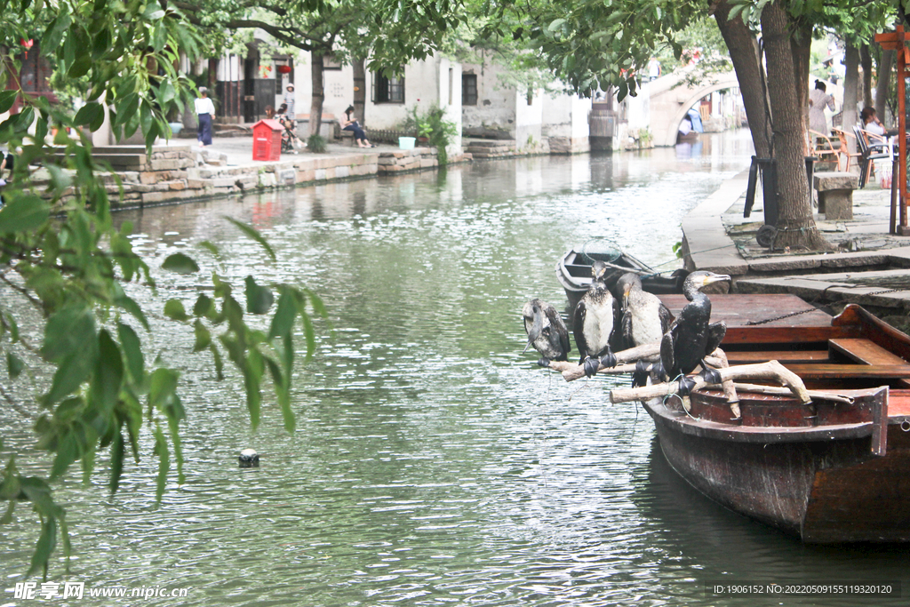 江南风景