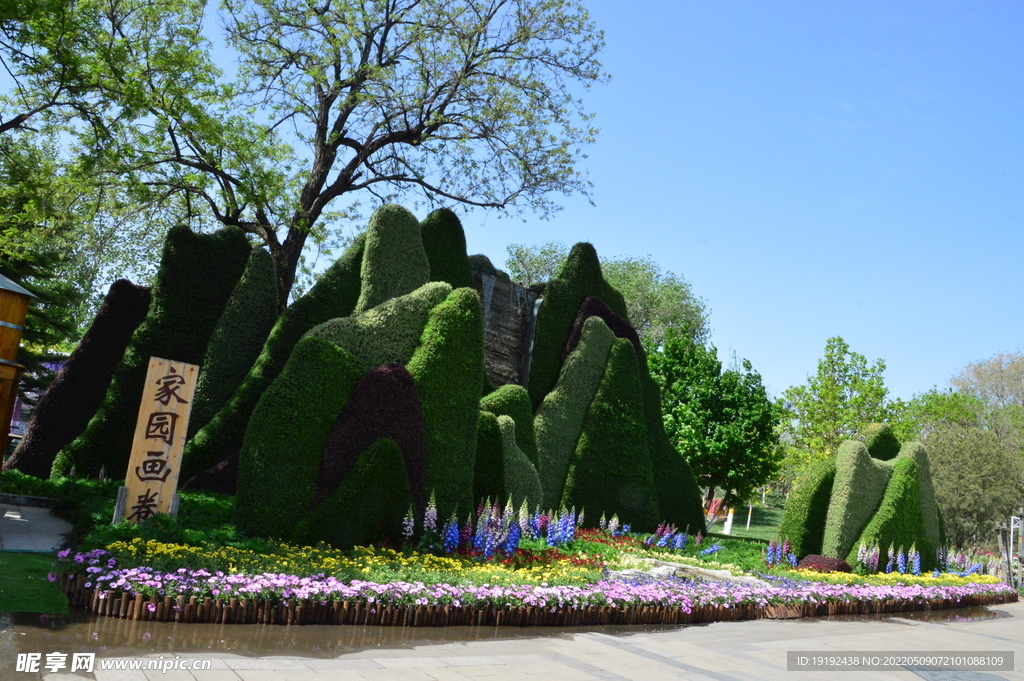 花坛风景 