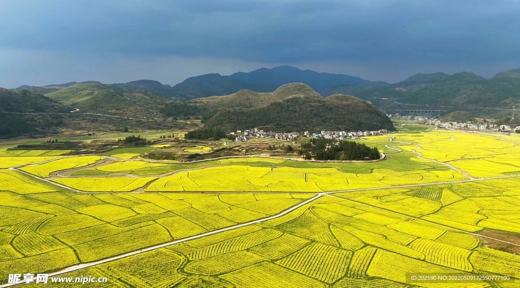 田园风光 油菜花