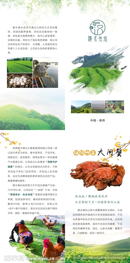 美丽茶乡 生态法镇