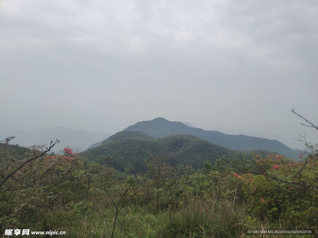 大王山风景 背景 山顶 山林 