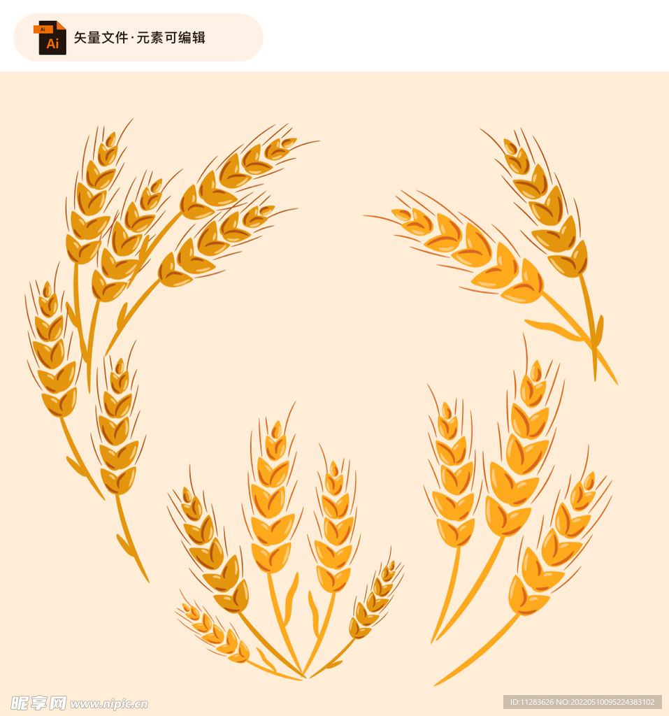 手绘麦穗稻穗插画