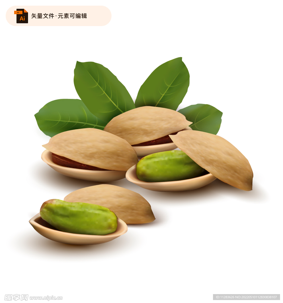 美味开心果矢量素材