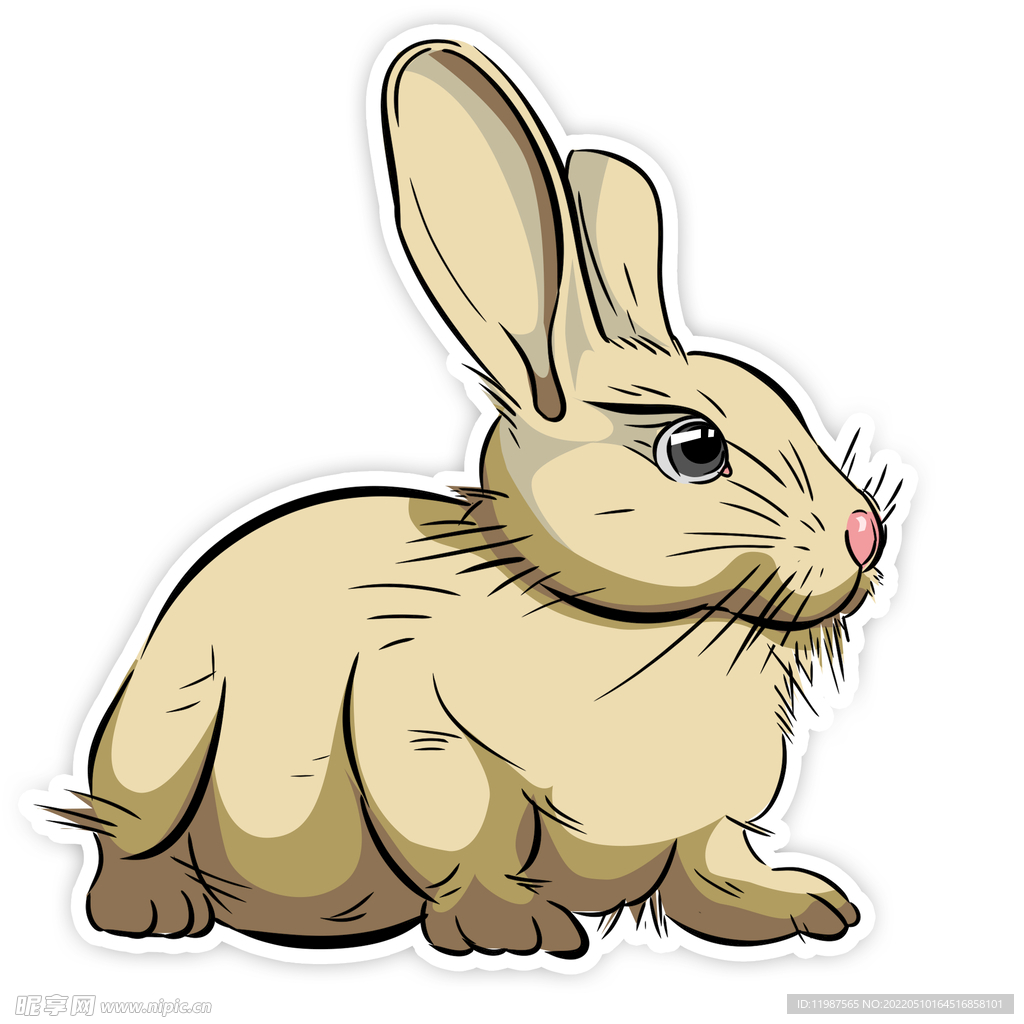 兔子玉兔中秋节小兔子动物宠物