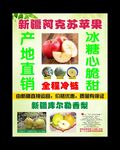 新疆阿克苏苹果香梨 宣传海报